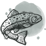 fish illustration wood stamp print style