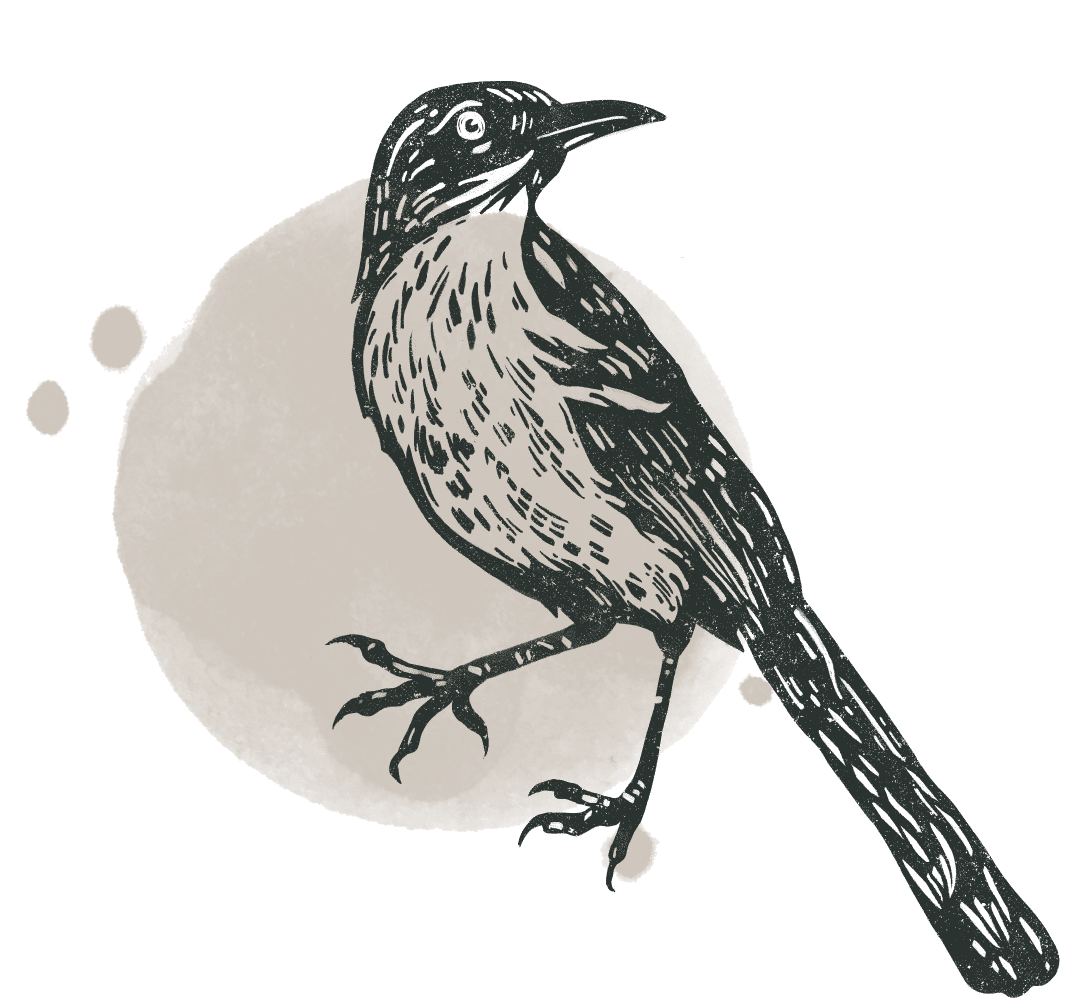 bird illustration in block print style
