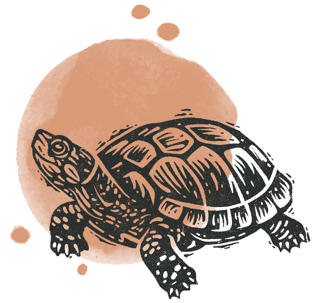 turtle illustration block print style