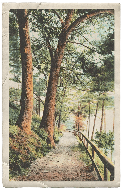 vintage postcard with forest path image design element