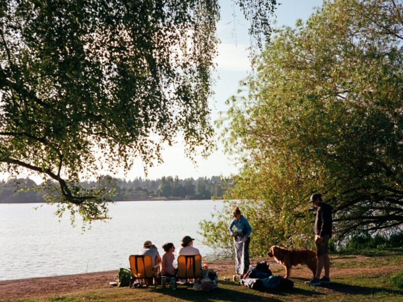 people socializing in park next to the river