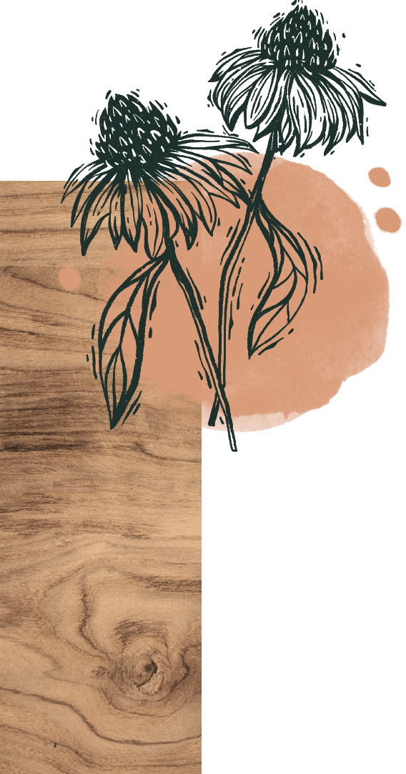 collage design of flower illustration wood stamp style and photo of wood texture